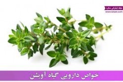 گیاهی بی نظیر برای درمان سرفه