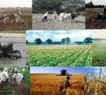 ۴ دلیل سودآور نبودن کشاورزی در ایران