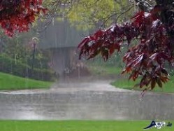 پیش بینی ۵ روز بارانی برای ۸ استان